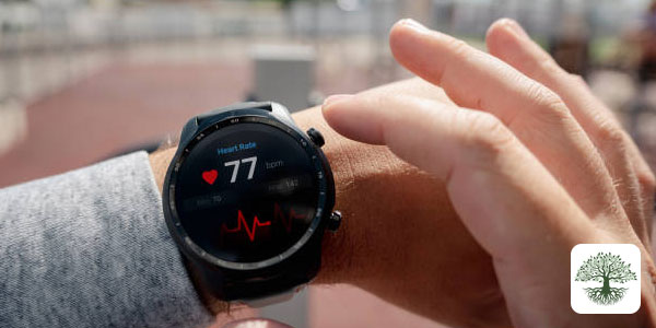 Hypertension and Cholesterol: Vascular Health in Functional Medicine