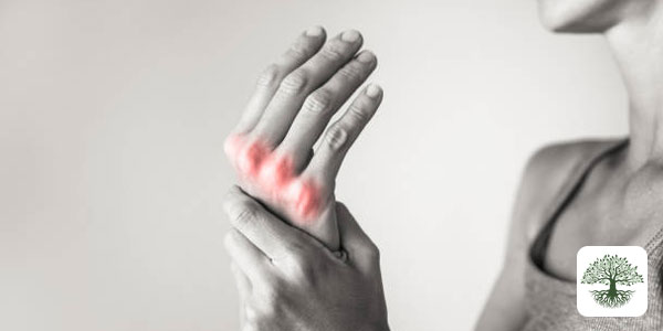 Autoimmune Rheumatologic Diseases: Functional Medicine Assessment