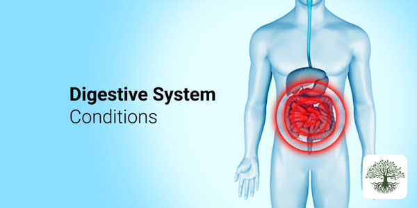 Digestive Symptoms and IBS: A Functional Medicine Perspective