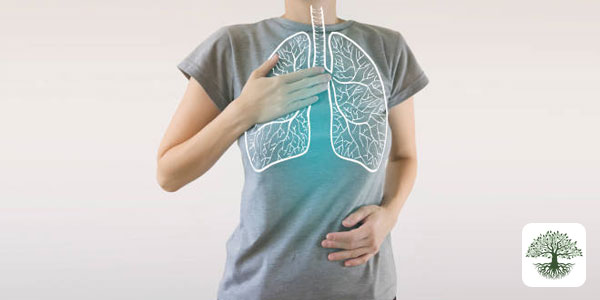 Asthma and Respiratory Complaints: Functional Medicine Approach