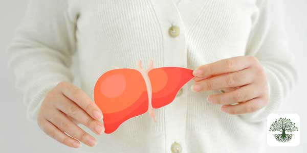 Karaciğer Yağlanması: Belirtiler ve Metabolik Etkileri